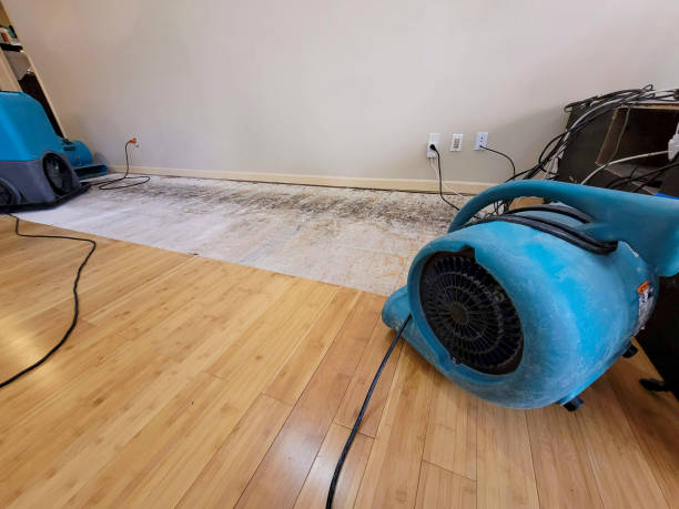 Professional Water Extraction technician working in Huntington, VA